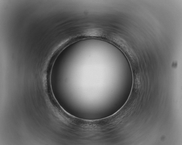 X0000097920535200803211529