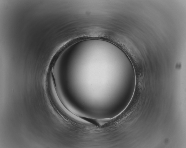 X0000097920536200803211529