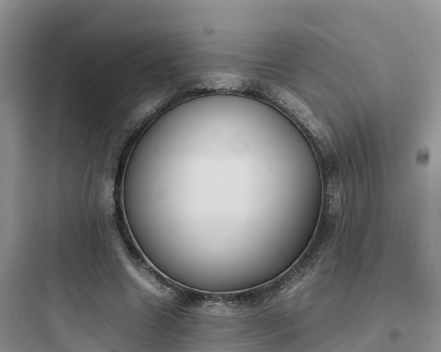 X0000097920538200803211529