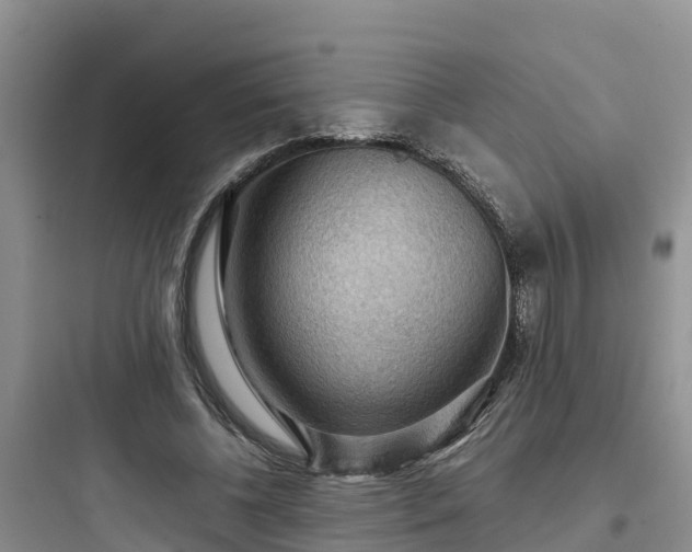 X0000097920540200803211529