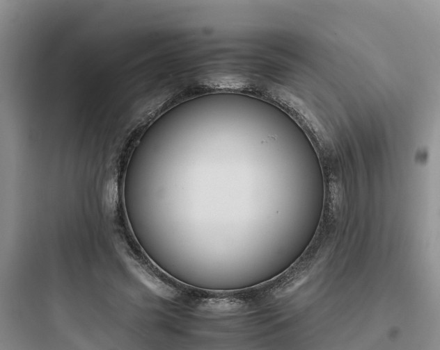 X0000097920541200803211529