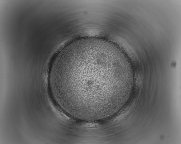X0000097920542200803211529