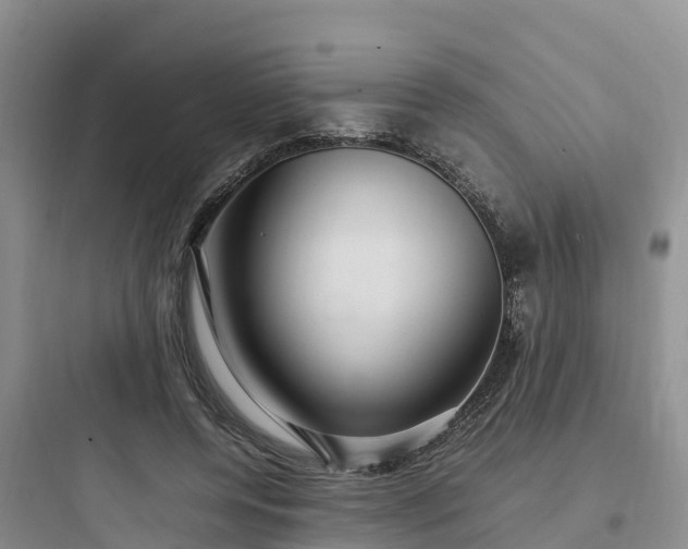 X0000097920544200803211529