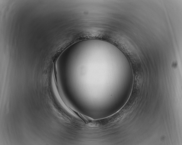 X0000097920546200803211529