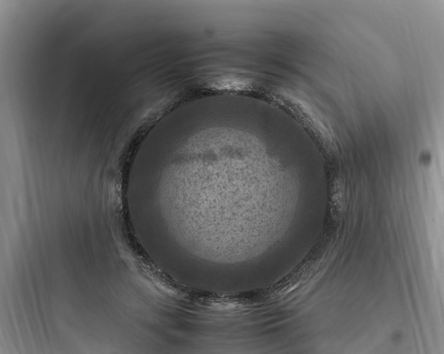 X0000097920547200803211529