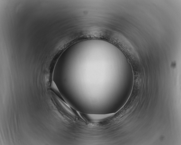 X0000097920548200803211529