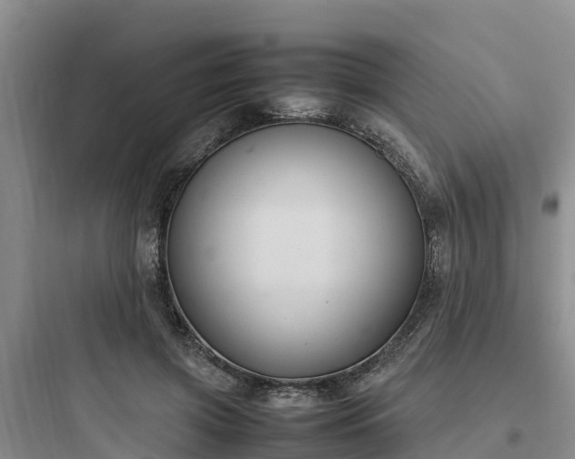 X0000097920549200803211529