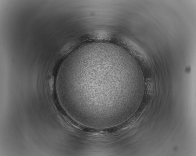 X0000097920550200803211529