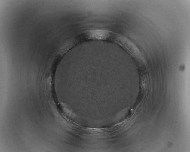 X0000097920551200803211529