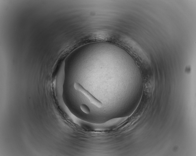 X0000097920552200803211529