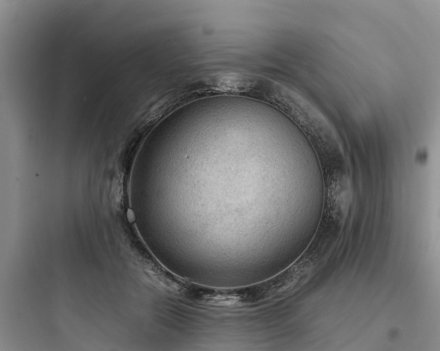 X0000097920554200803211529