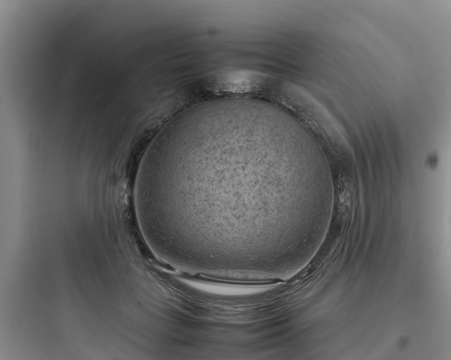 X0000097920555200803211529