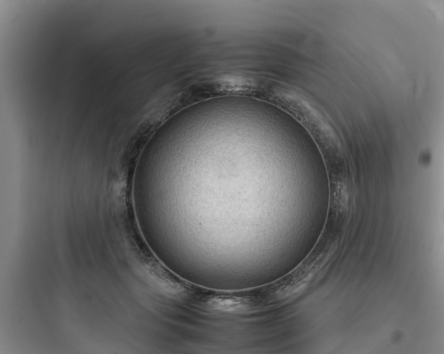 X0000097920557200803211529