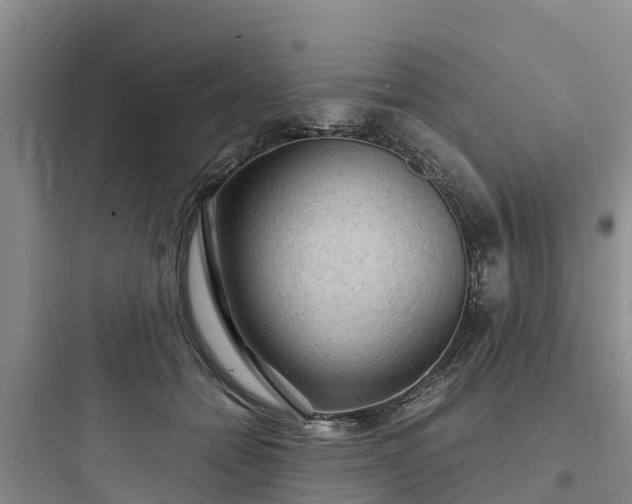 X0000097920558200803211530