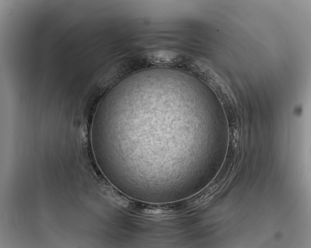 X0000097920561200803211530