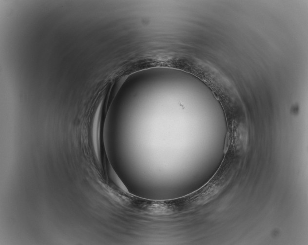 X0000097920562200803211530