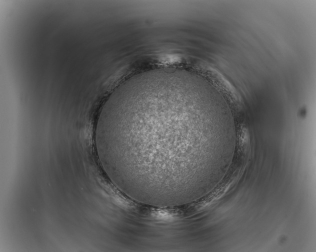X0000097920565200803211530