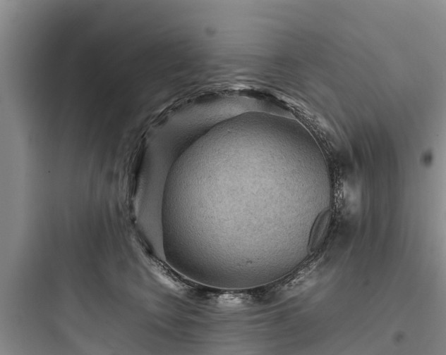 X0000097920566200803211530