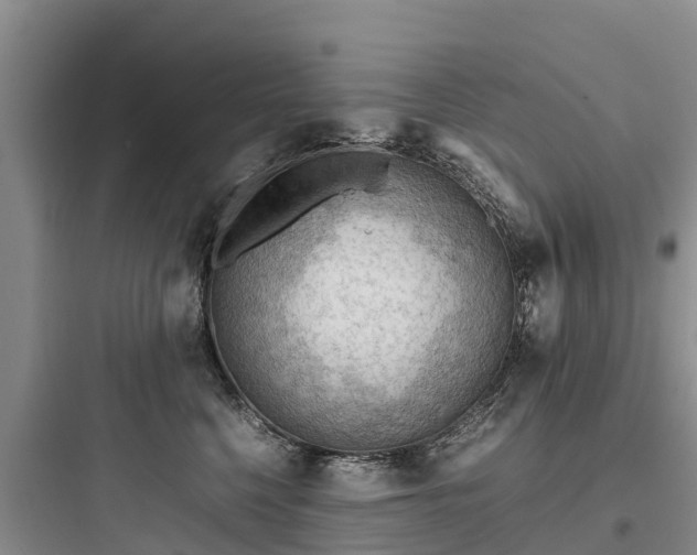 X0000097920568200803211530