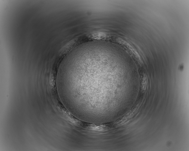 X0000097920569200803211530