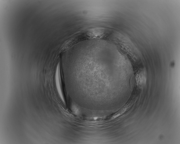 X0000097920570200803211530