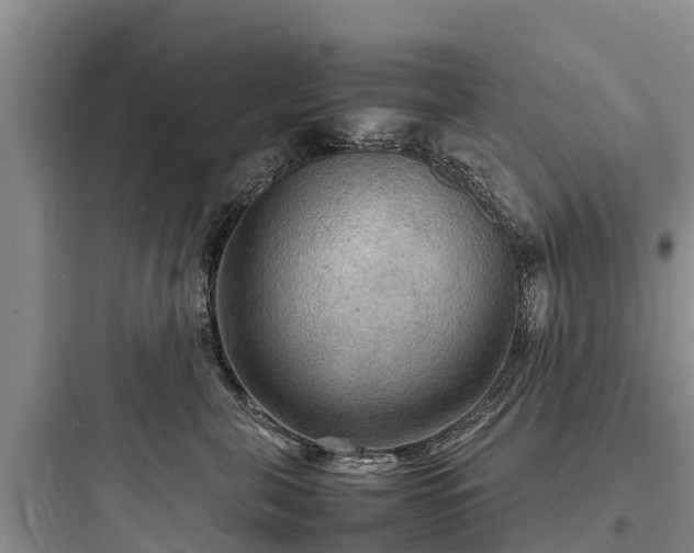 X0000097920571200803211530