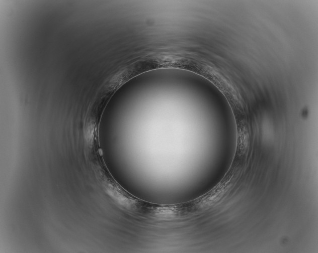 X0000097920574200803211530