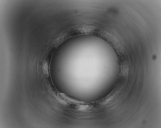 X0000097920575200803211530