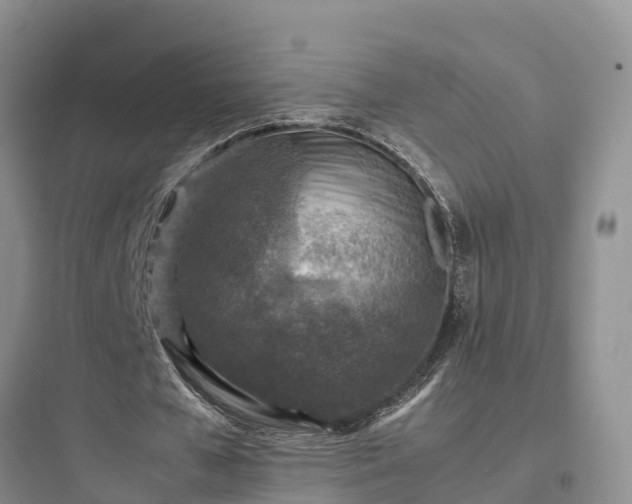 X0000097920577200803211529