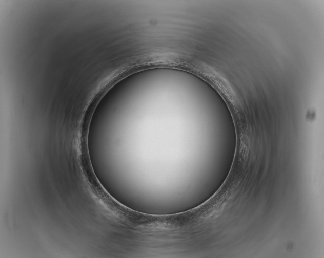 X0000097920578200803211529