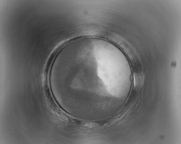 X0000097920579200803211529