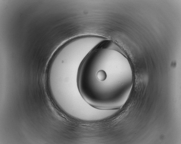 X0000097920580200803211529