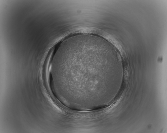 X0000097920581200803211529