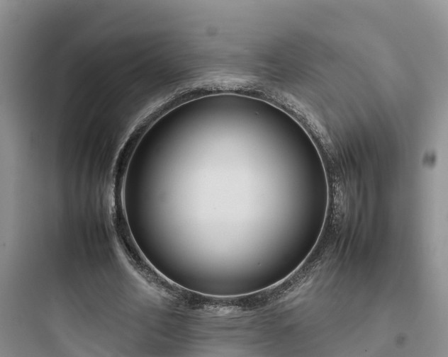 X0000097920582200803211529
