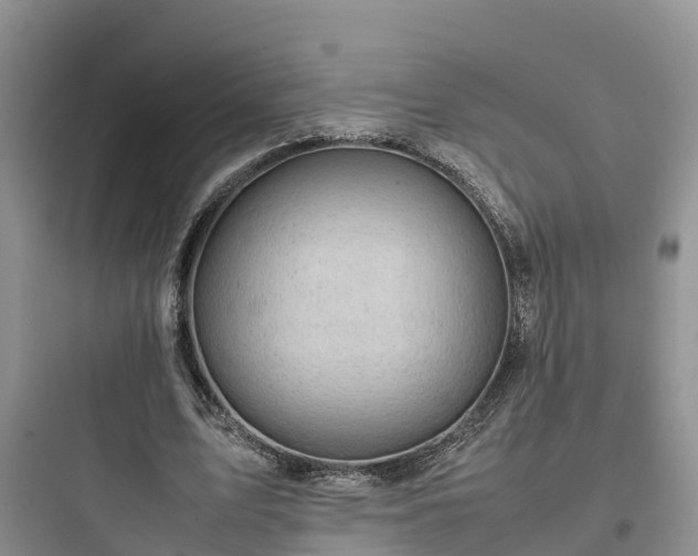 X0000097920583200803211529
