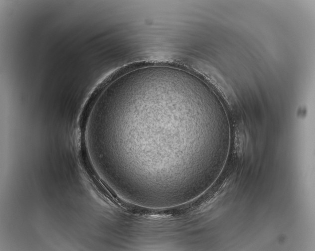 X0000097920584200803211529
