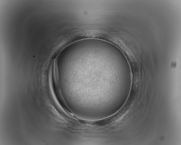 X0000097920585200803211529