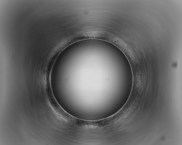 X0000097920586200803211529