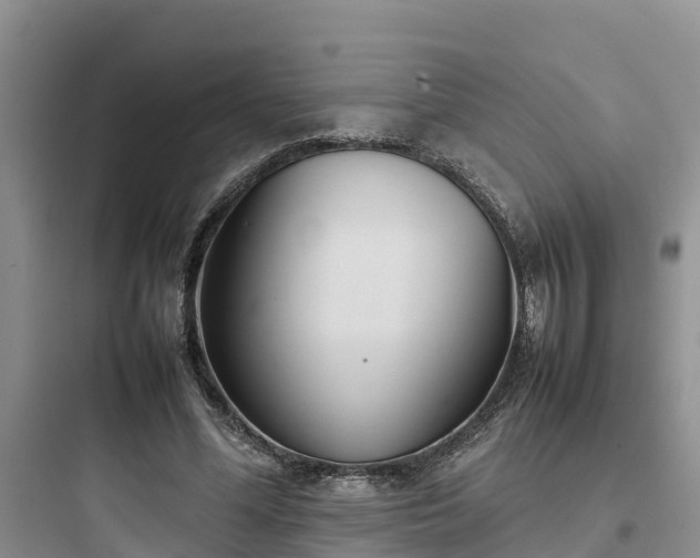 X0000097920588200803211529