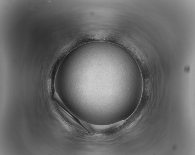 X0000097920589200803211529