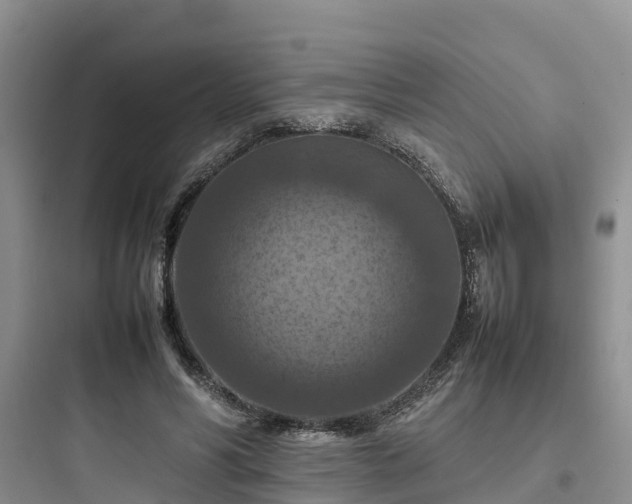 X0000097920590200803211529