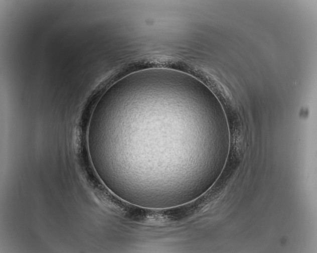 X0000097920591200803211529