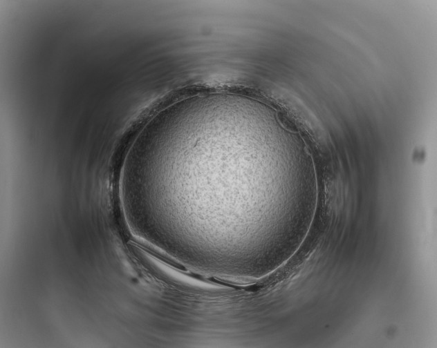X0000097920592200803211529
