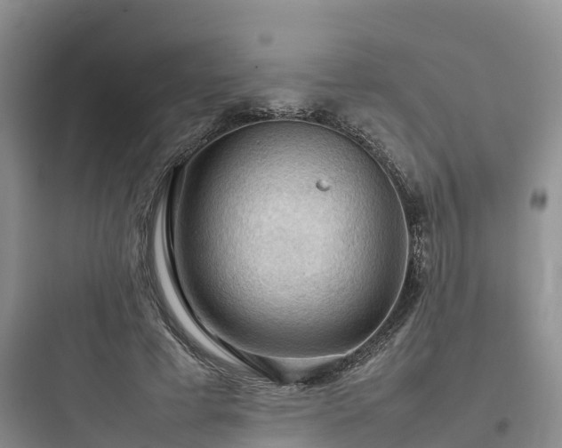 X0000097920593200803211529