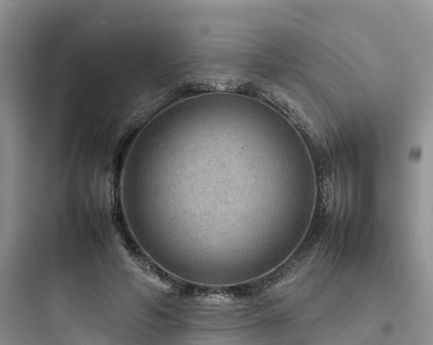 X0000097920594200803211529