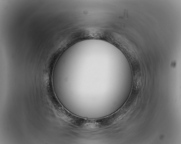 X0000097920595200803211529