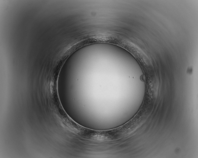 X0000097920596200803211529