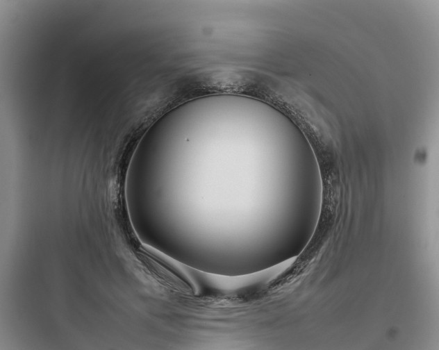 X0000097920597200803211529