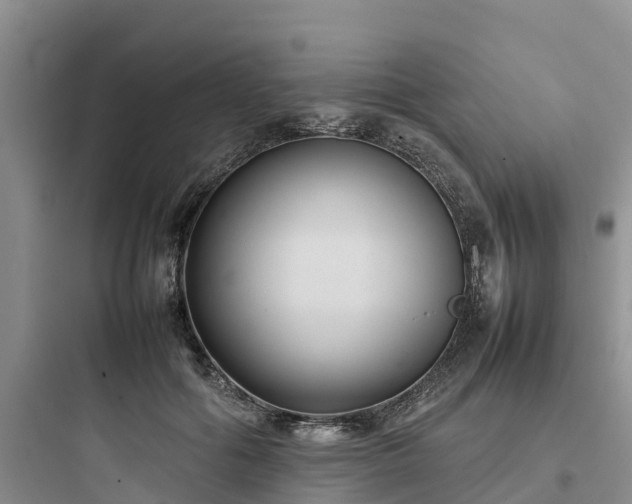X0000097920602200803211529