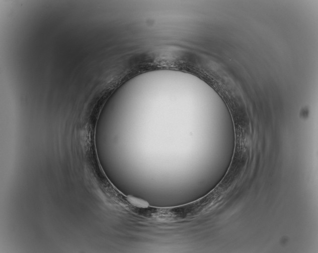 X0000097920603200803211529